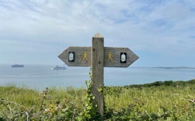 The Future of Consulting: at a crossroads, but what comes next?