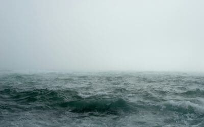 Economic turbulence: striking the balance between being proactive or reactive as a CFO