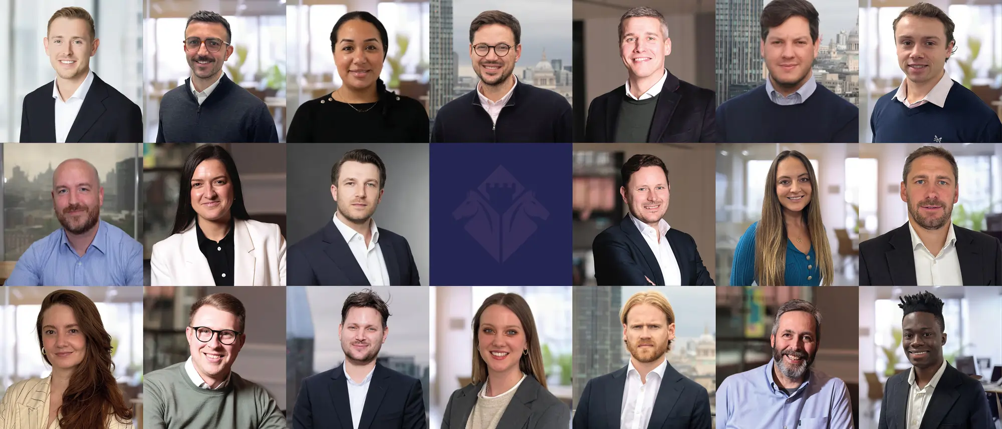 The Siena Partnership Montage Portrait